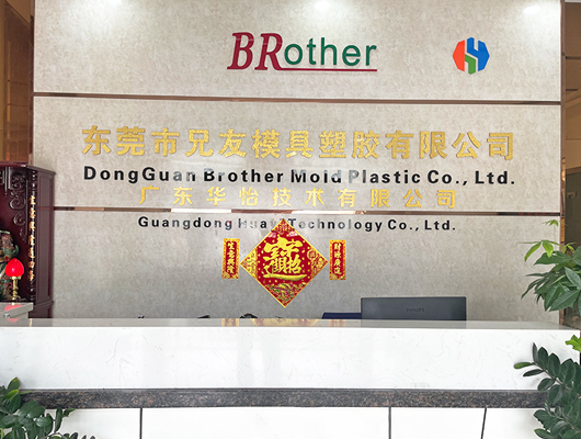 Dongguan Brother Mold Plastic Co., Ltd.